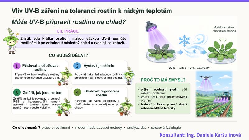 Téma 4