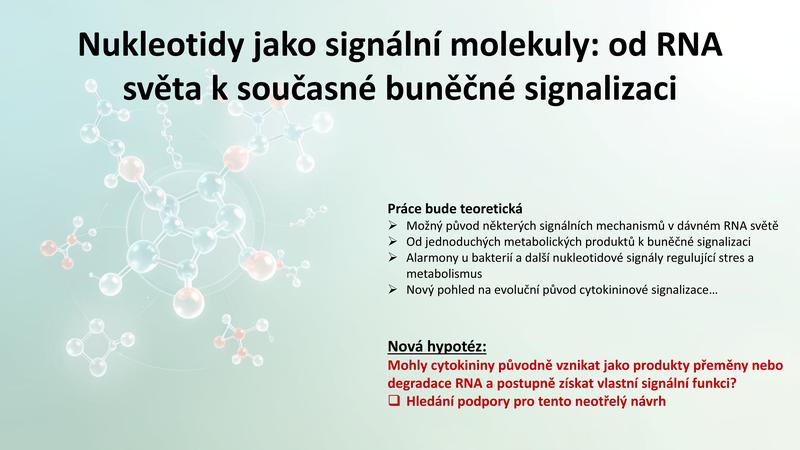 Téma 3