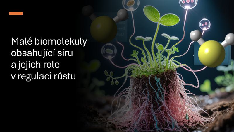 Malé biomolekuly obsahující síru