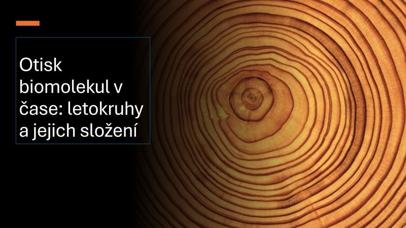 Otisk biomolekul v čase: letokruhy